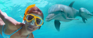 shell island snorkeling & dolphin tour